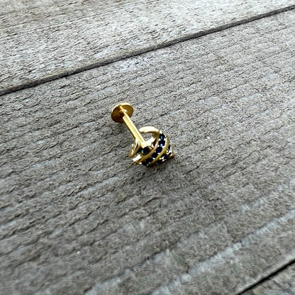 16G 5/16 Gold Tone Blue Adorable Angelfish Labret Monroe Tragus