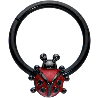 16G 3/8 Black Classic Ladybug Hinged Segment Ring
