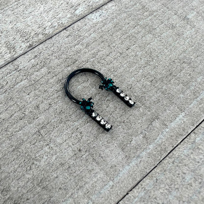16G 3/8 Clear Gem Black Night Palm Tree Dangle Horseshoe