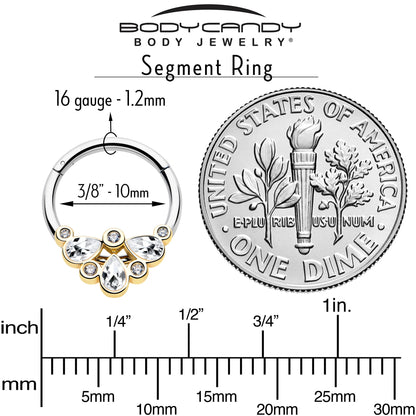 16G 3/8 Clear Gem Golden Crown Deluxe Hinged Segment Ring