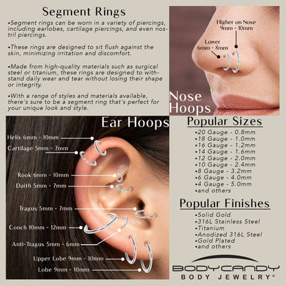 14G 9mm 316L Surgical Steel Precision Hinged Segment Hoop