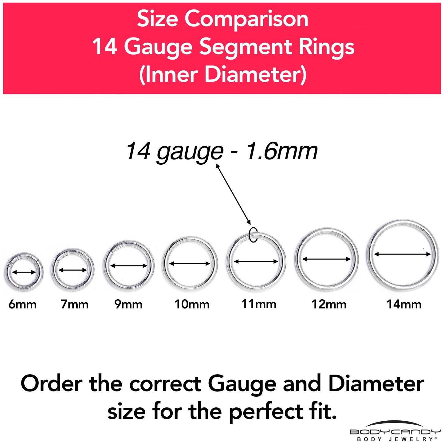 14G 9mm 316L Surgical Steel Precision Hinged Segment Hoop