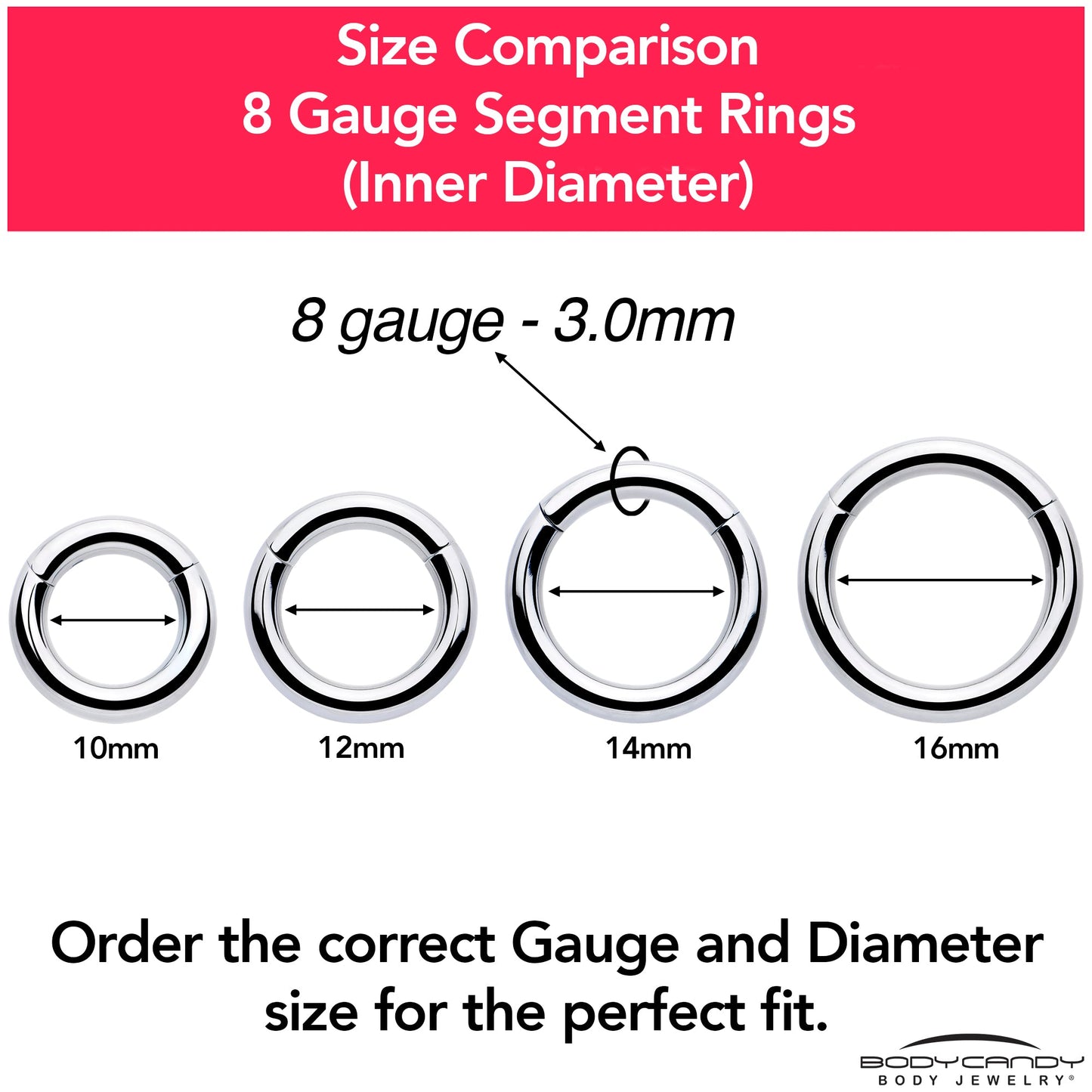 8G 9/16 316L Surgical Steel Precision Hinged Segment Hoop