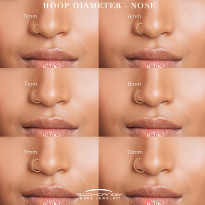Micro Gem Titanium Hinged Double Nose Hoop
